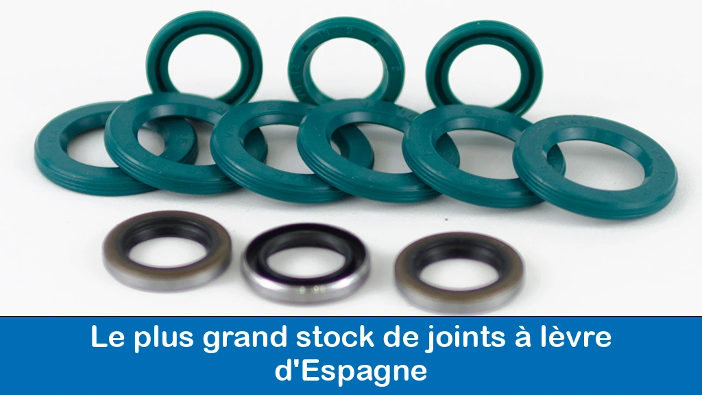 Le plus grand stock de joints à lèvre d'Espagne